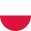 language flag